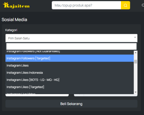 RajaItem.com - Panel Sosial Media